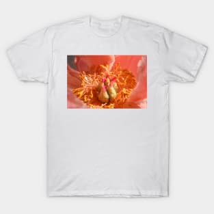 Peony ,petals , flowers, flora, peony T-Shirt